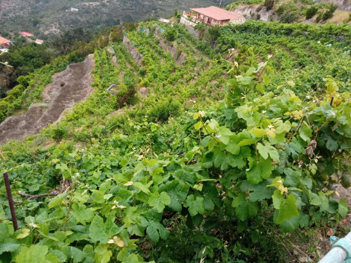 Casa Rural Quilla Agulo 외부 사진