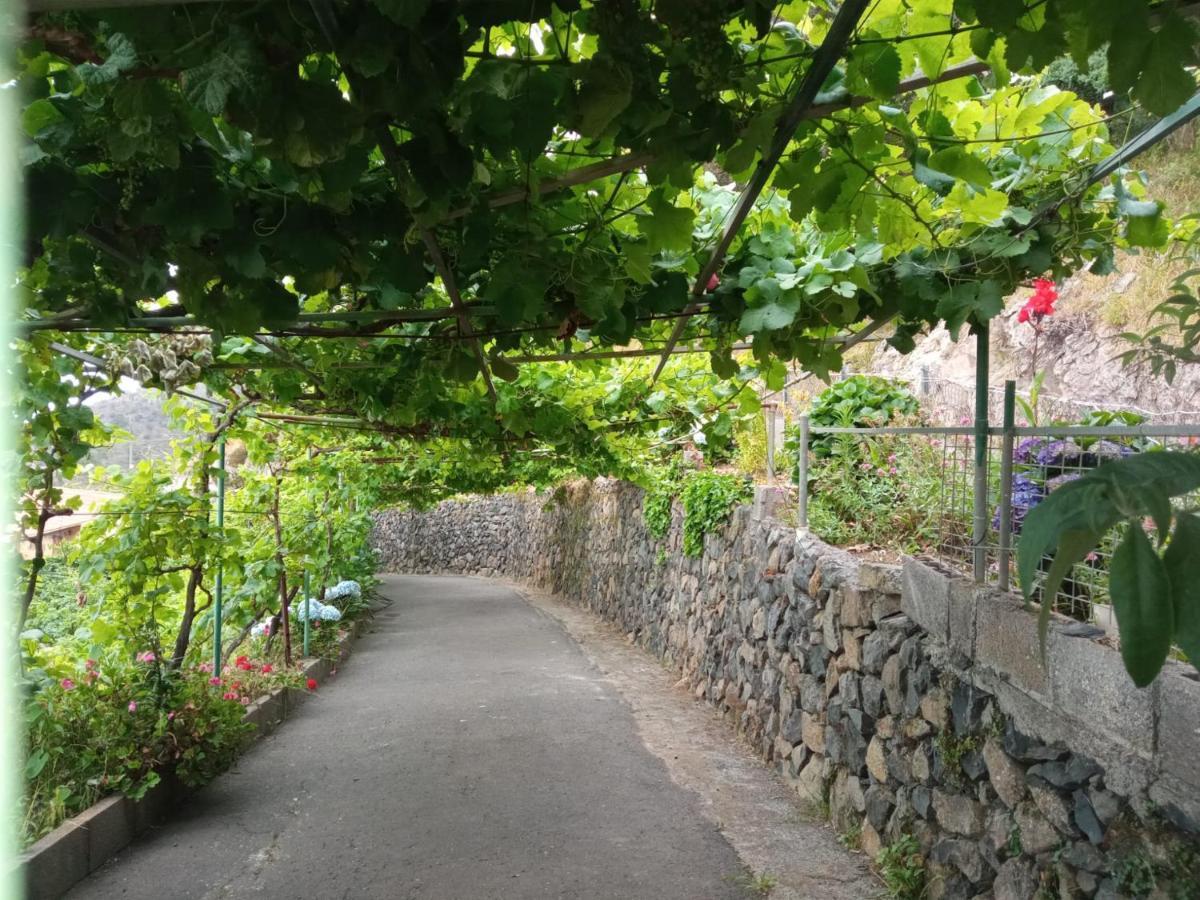 Casa Rural Quilla Agulo 외부 사진
